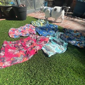 Patagonia Barely Baggies Medium